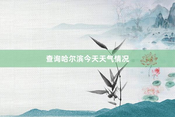 查询哈尔滨今天天气情况
